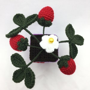 Cute  crochet yarn strawberry of pot, unique gift for thanksgiving, christmas, new year