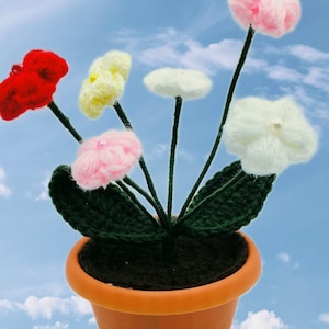 Crochet cherry blossoms,jasmine,daisy,plum blossoms, peach blossoms of pot, for Christmas present