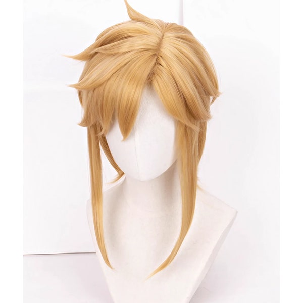 The Legend of Zelda Link cosplay wig, Blonde wig for boys, Authentic and high-quality hairpiece, Zelda cosplay accessory, Gift for cosplayer