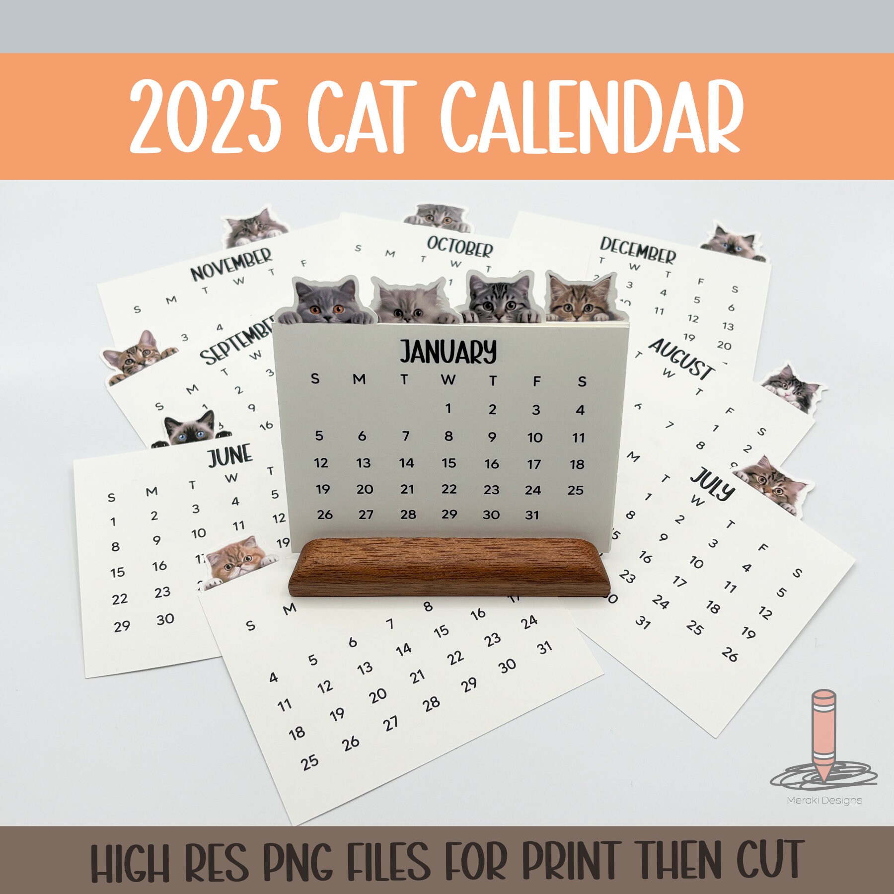 2025 Cat Calendar Printable Etsy