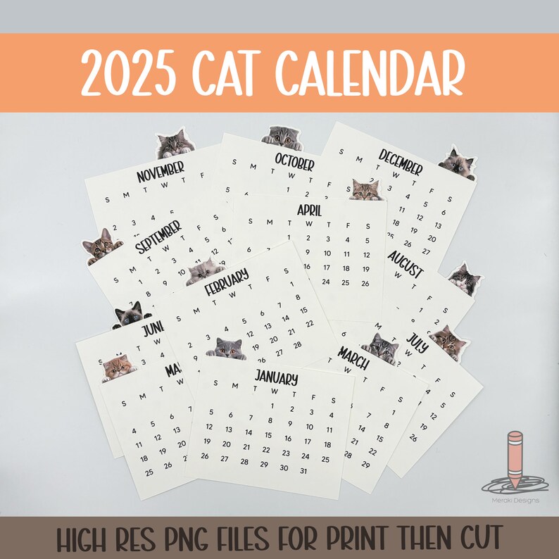 2025 Cat Calendar Printable Etsy