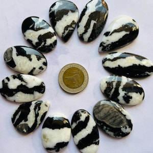 Lote de 12 peças de cabochão de turquesa de búfalo, lote de pedras preciosas de turquesa de búfalo, caixas de formato misto, joias de turquesa de búfalo, 592Ct. 35x24 46 x 21 MM L-12