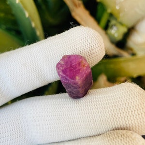 Puede incluir: Una piedra preciosa de rubí facetada de color rosa intenso con un acabado rugoso y natural. El rubí se sostiene en una mano cubierta de tela blanca.