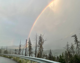 Rainbow