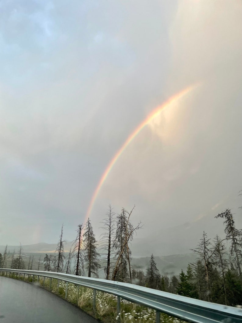 K&ouml;nnte beinhalten: Ein Regenbogen spannt sich &uuml;ber eine neblige Waldlandschaft, mit einer asphaltierten Stra&szlig;e, die sich durch die B&auml;ume schl&auml;ngelt. Der Himmel ist in einem sanften Grau gehalten, mit zarten Wolken.