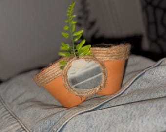 Vaso decorativo a forma di paguro / Pianta rampicante da 10 cm / The Nelly Shelly Co.