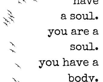 You are a soul