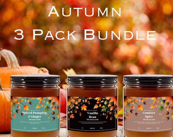 Fall Candle Bundle: Vanilla Bean, Spiced Pumpkin, Comfort Spice Soy Candles