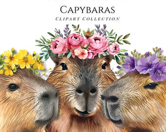 Watercolor Clipart, Flower Crown Capybara, Pngs, Animals, Commercial Use Clipart, Scrapbooking, Animal Graphics, Sticker Graphics, Trendy