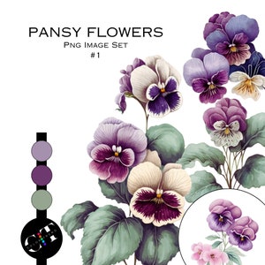 Watercolor Clipart, Pansy Flowers, Pngs, Purple, Commercial Use Clipart, Scrapbooking, Flowers, Trending Graphics, Sticker Graphics, Spring