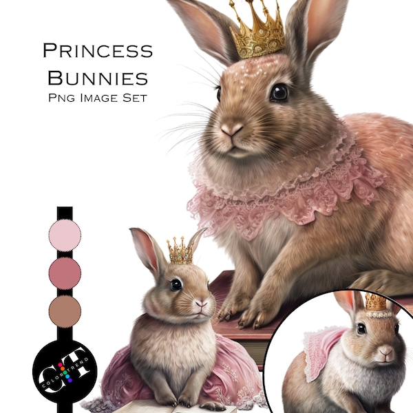 Clipart Princess Bunnies -  Nursery Clipart - Children Book Graphics - Bunny Graphic Bundle - Book Theme - Printable Art - Bunny with a Book