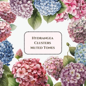 Grappoli di fiori di ortensia, Clipart ad acquerello, Png, Uso commerciale, Grafica di pianificazione digitale, Grafica adesiva