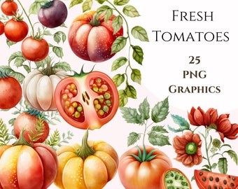 Clipart aquarelle tomate jardin, images de jardin, usage commercial, Scrapbooking, clipart jardin, graphiques Cottagecore, plantes, légumes