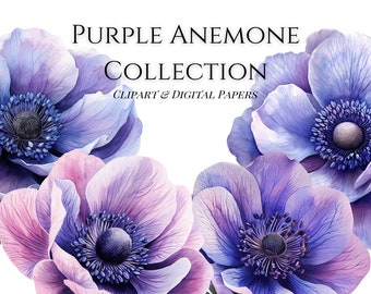 Clipart fleur anémone violette, papiers numériques violets, graphiques floraux violets, fleur d'anémone PNG, graphique numérique pour agenda, graphique autocollant
