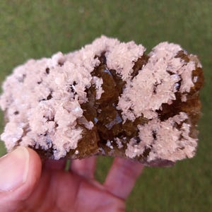 Può includere: Un esemplare di minerale naturale tenuto in mano. L'esemplare presenta un gruppo di formazioni cristalline rosa chiaro su una base più scura, brunastra. Lo sfondo è erba verde sfocata.