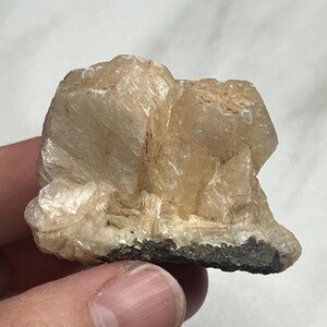 Op de afbeelding: Een lichtbruin mineraal specimen met een kristallijne structuur. Het mineraal heeft een ruw, getextureerd oppervlak en zit op een donkergrijze basis. Het specimen wordt in de hand van een persoon gehouden.