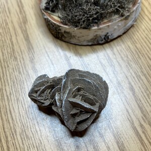 Desert Rose Selenite | Gypsum Rose | Sand Rose