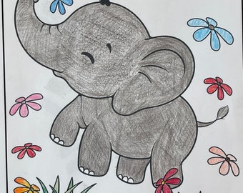 Baby Animal Coloring Book