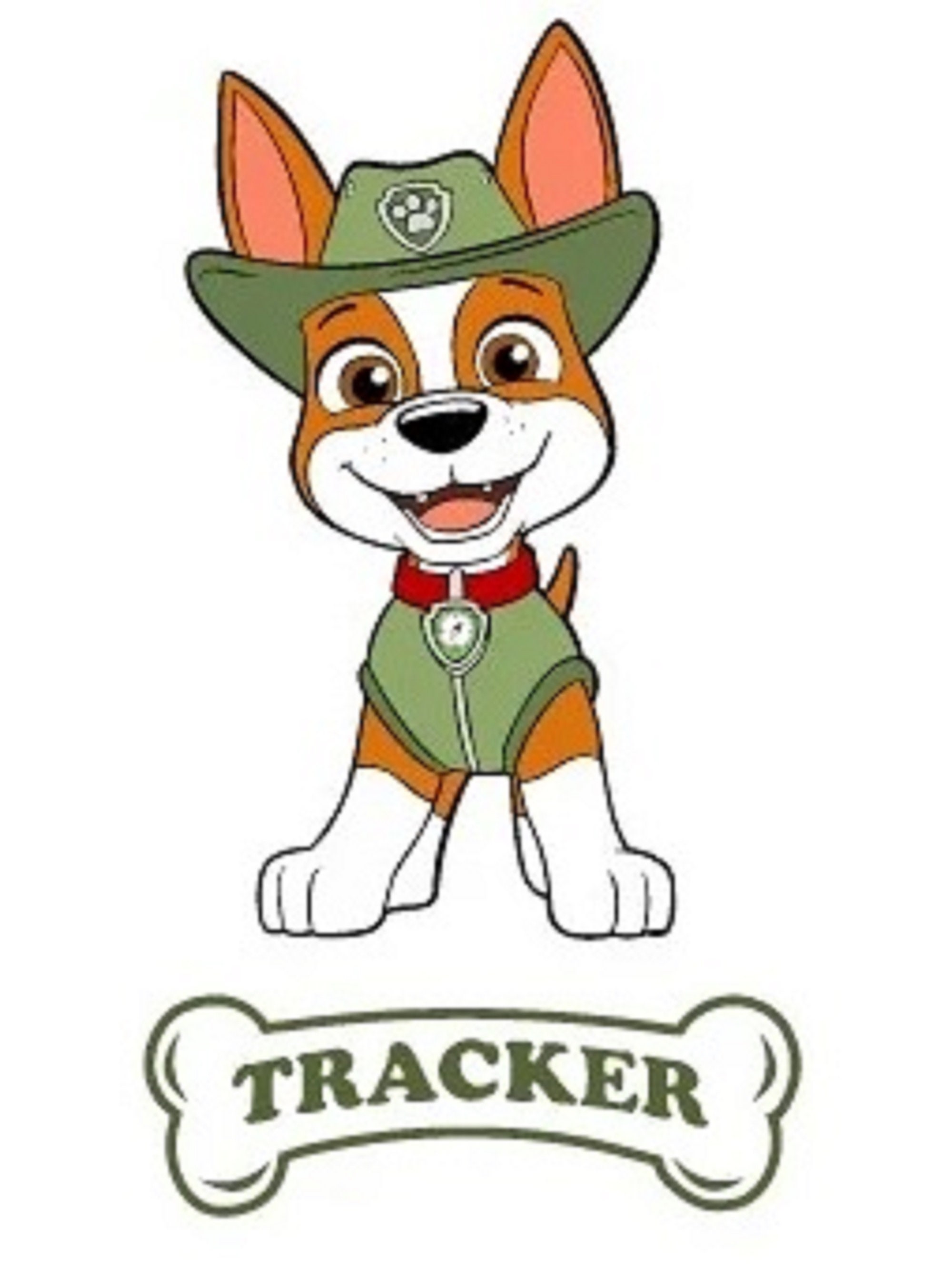 paw patrol tracker character