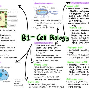 GCSE Biologie Mindmaps