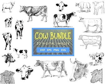 Cow 20 Digital Image Bundle svg png dxf eps