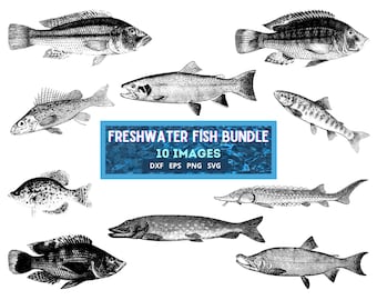 Freshwater Fish 10 Digital Image Bundle svg eps dxf png