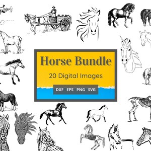 Paard 20 Digitale Afbeelding Bundel svg dxf eps png