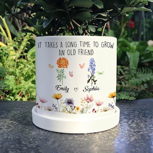 Vaso de plantas personalizado para velhos amigos, demora muito para crescer, vaso de plantas para velhos amigos, presente para melhores amigos, lembrança de amizade, presente para amigos