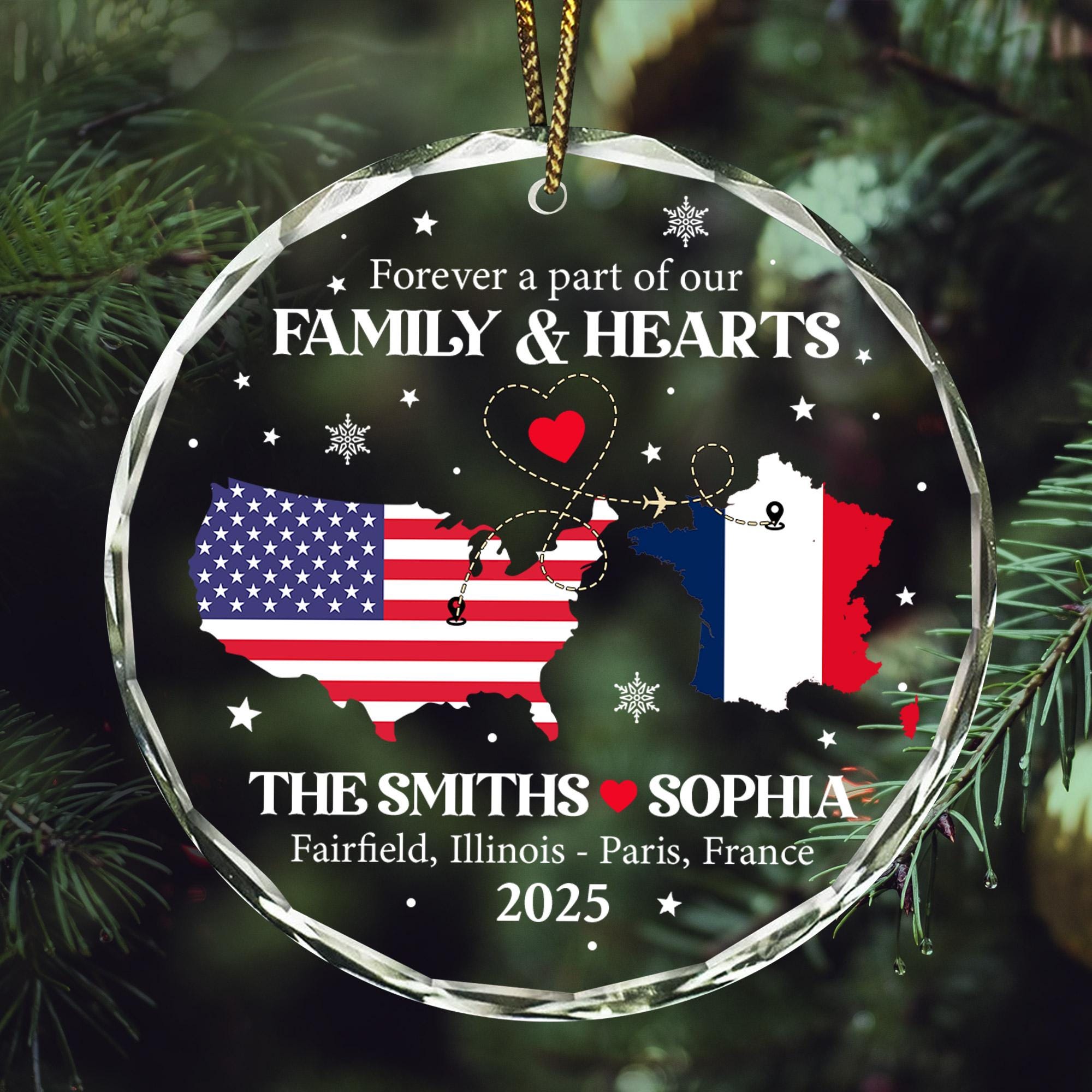 Exchange Student Ornament - Etsy