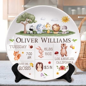 Personalized Newborn Birth Stats Plastic Plate, Baby Birth Announcement, Newborn Keepsake, Birth or Christening Plate, Nursery Decor