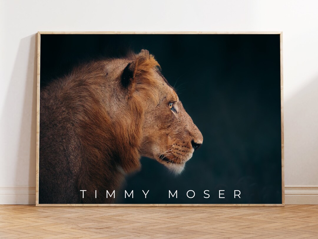 African Lion Wall Art Digital Download Animal Prints Etsy