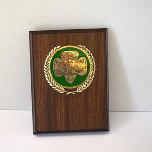 Green Girl Scouts Faces Logo Lapel Pin – 0.75" Metal Pinback With Resin Top, USA Made, Collectible Or Gift