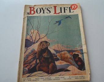 May include: Vintage March 1953 Boys' Life magazine. The cover features a groundhog in a snowy landscape with two birds flying in the sky. The magazine's title is in red and the price is 10 cents.