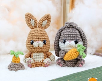 ChubBie / Pixie and Blaze the bunny - crochet patterns by NoobieontheHook (Amigurumi tutorial PDF file)
