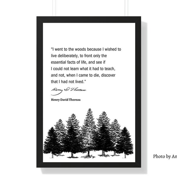 Citazione di Henry David Thoreau, Thoreau Wall Art, Citazione Stampa Poster, Walden Pond, Stampe letterarie, Citazione ispiratrice, Oggettistica per la casa, Regalo