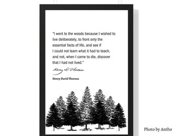 Citazione di Henry David Thoreau, Thoreau Wall Art, Citazione Stampa Poster, Walden Pond, Stampe letterarie, Citazione ispiratrice, Oggettistica per la casa, Regalo