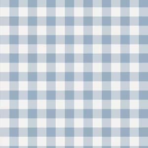 May include: A seamless pattern featuring a classic gingham design. The pattern consists of a grid of alternating light blue and white squares, creating a checkered effect. This versatile design is suitable for various applications.