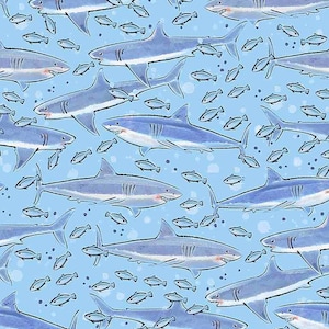 Little Ocean Blue Studio: Sharks