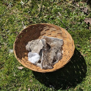 May include: A woven basket filled with three pieces of animal fur. The fur is a mix of brown, gray, and white.