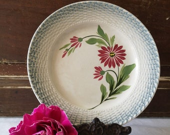 French Antique Ironstone Plate, Handpainted Floral Design