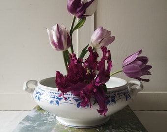 Fransk antik järnstensterrin, tillverkad av 'Saint Amand', blå blommig transferware