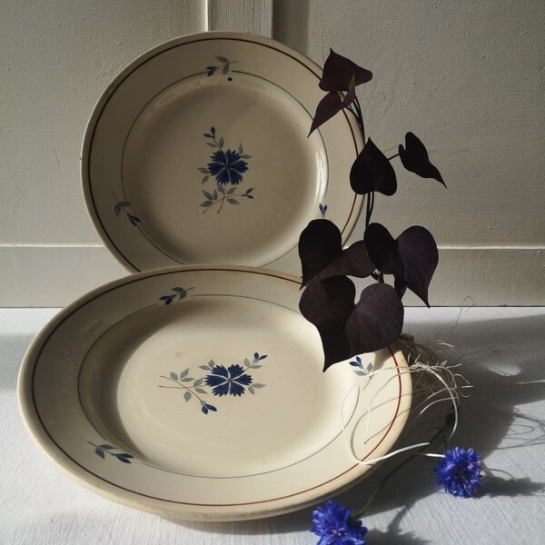 French Antique Ironstone Plates, Made by 'Moulin Des Loups St Amand', Model 'Prisca', Blue Floral Design