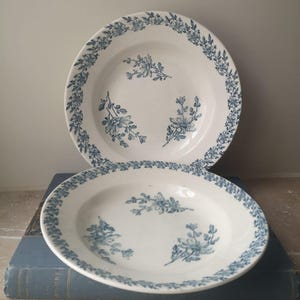 French Antique Ironstone Plates, Pair of Shallow Plates, Made by 'Luneville', Model 'Paquarette', Blue Daisy Floral Design