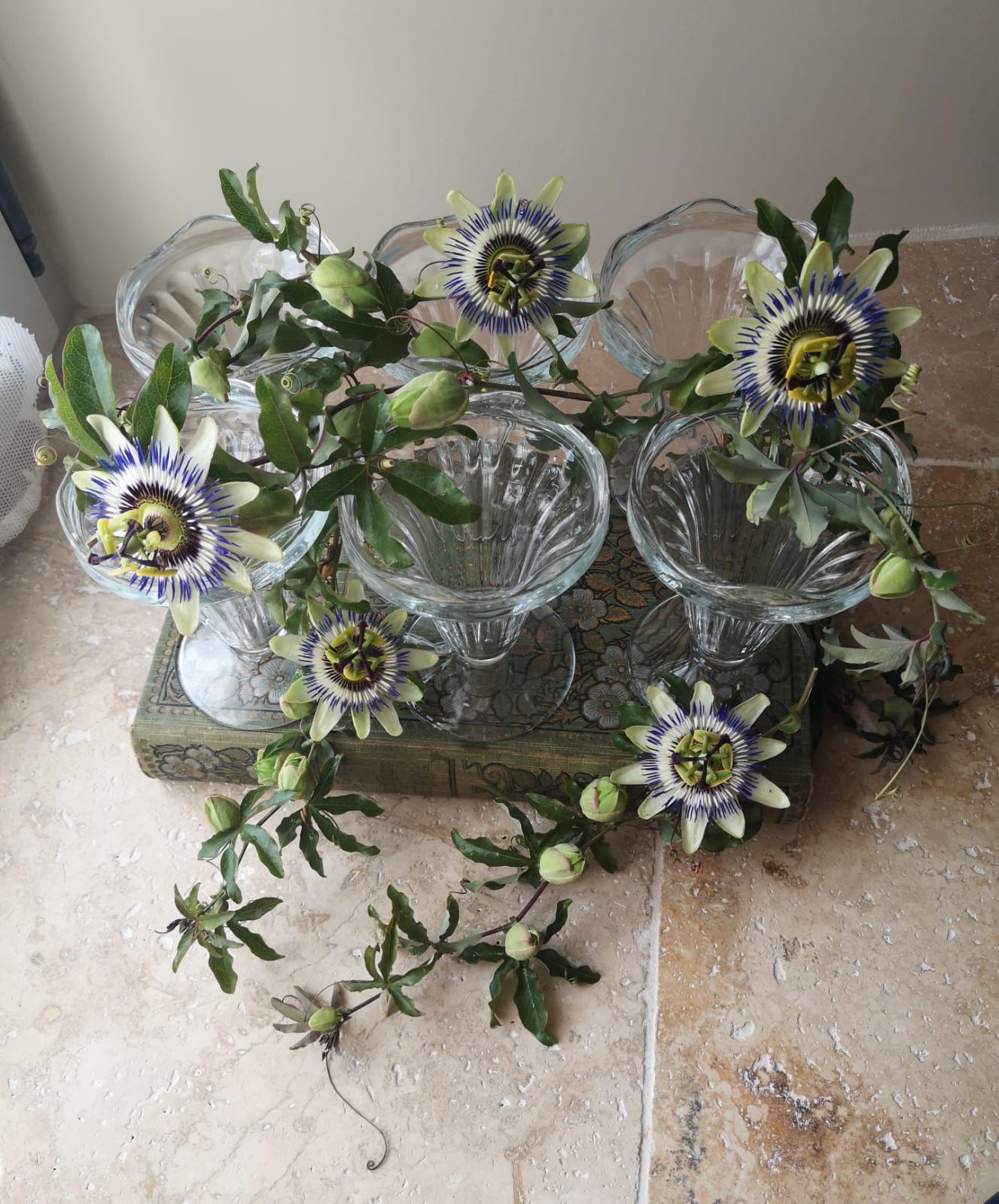 A Lovely Vintage Set of 6 Coupes, Ice Cream Cups