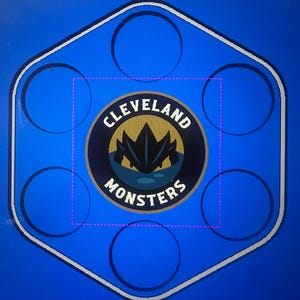 Custom Made Hexagon Hockey Puck Display: Sports Room Wall Decor, Fan Player Team Sign Gift