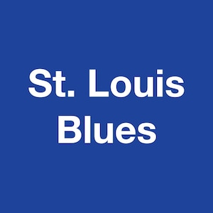 St. Louis Blues Hockey Puck Display: Sports Room Wall Decor, Fan Gift