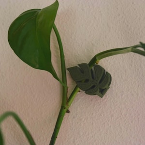 May include: A dark green, leaf-shaped plant clip is attached to a green plant stem. The clip is designed to hold the plant in place. The plant has large, green leaves. The background is a textured, off-white wall.
