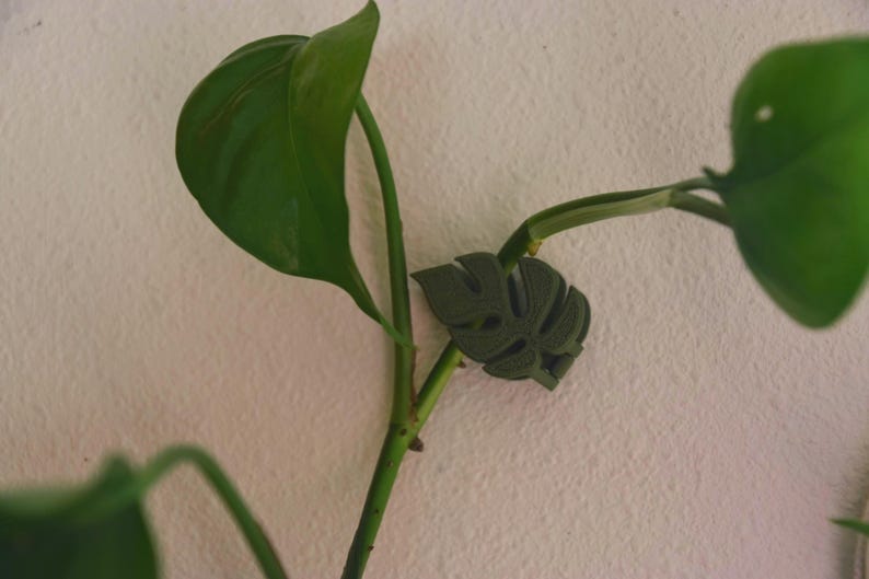 May include: A dark green, leaf-shaped plant clip is attached to a green plant stem. The clip is designed to hold the plant in place. The plant has large, green leaves. The background is a textured, off-white wall.