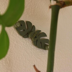 May include: Two olive-green leaf-shaped plant supports mounted on a textured white wall. The supports are designed to hold plant stems, with a green plant stem and leaf visible in the image. The supports are made of a durable material.