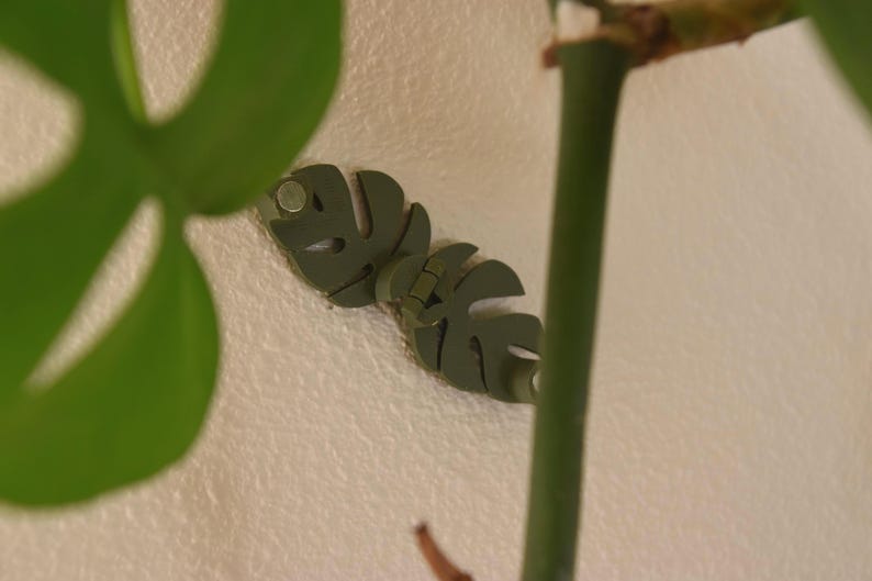 May include: Two olive-green leaf-shaped plant supports mounted on a textured white wall. The supports are designed to hold plant stems, with a green plant stem and leaf visible in the image. The supports are made of a durable material.